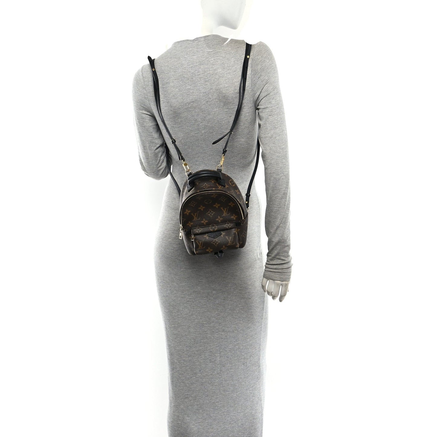 Monogram Palm Springs Backpack Mini