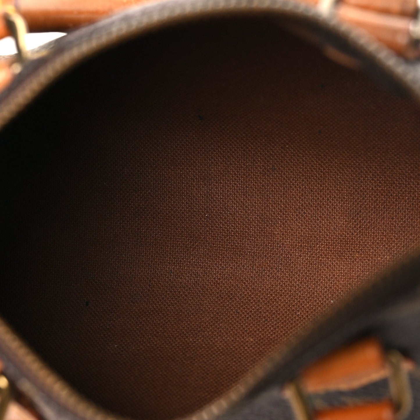 Monogram Mini Sac HL Speedy