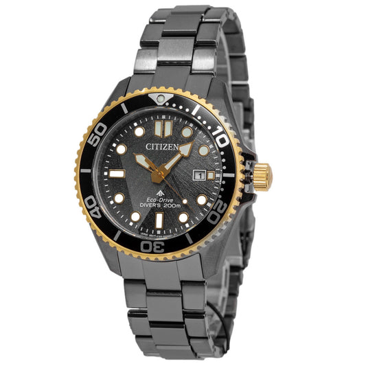 Citizen BN0264-53E Promaster Eco-Drive Men's Watch