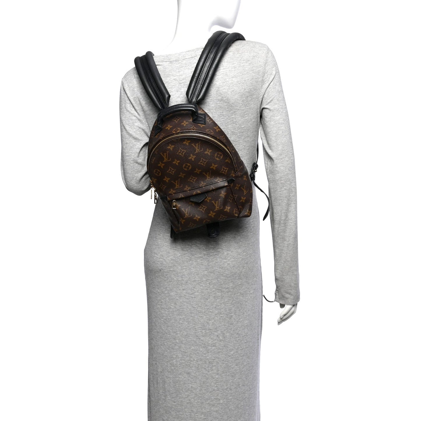 Monogram Palm Springs Backpack PM