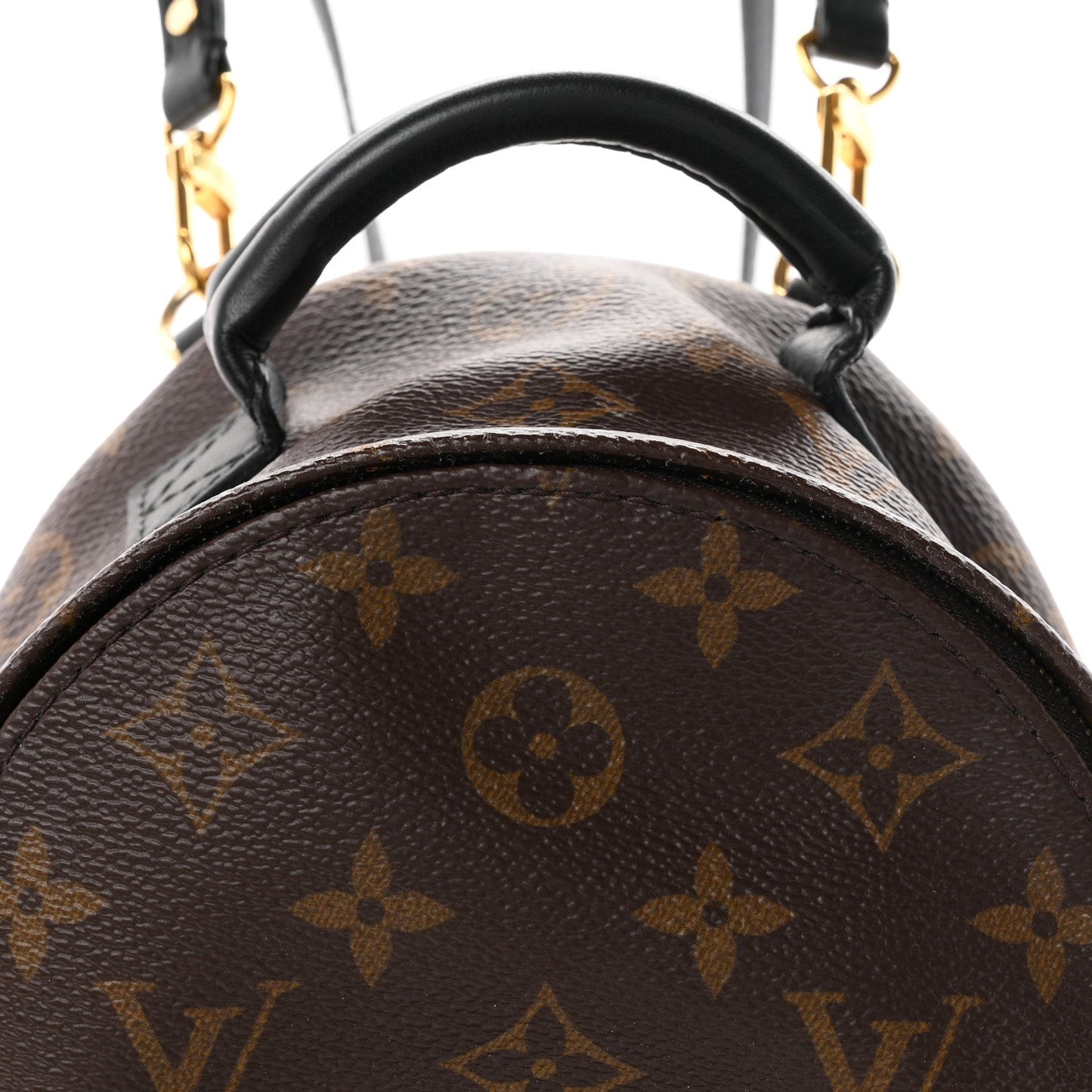 Monogram Palm Springs Backpack Mini