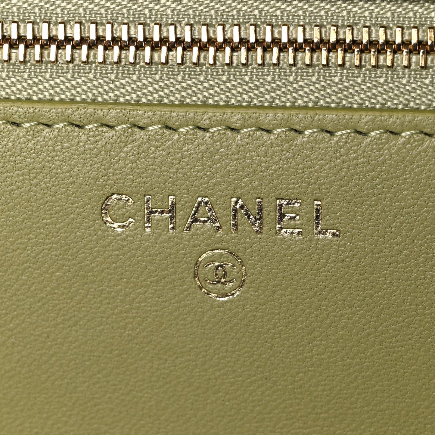Shiny Lizard Wallet on Chain WOC Green