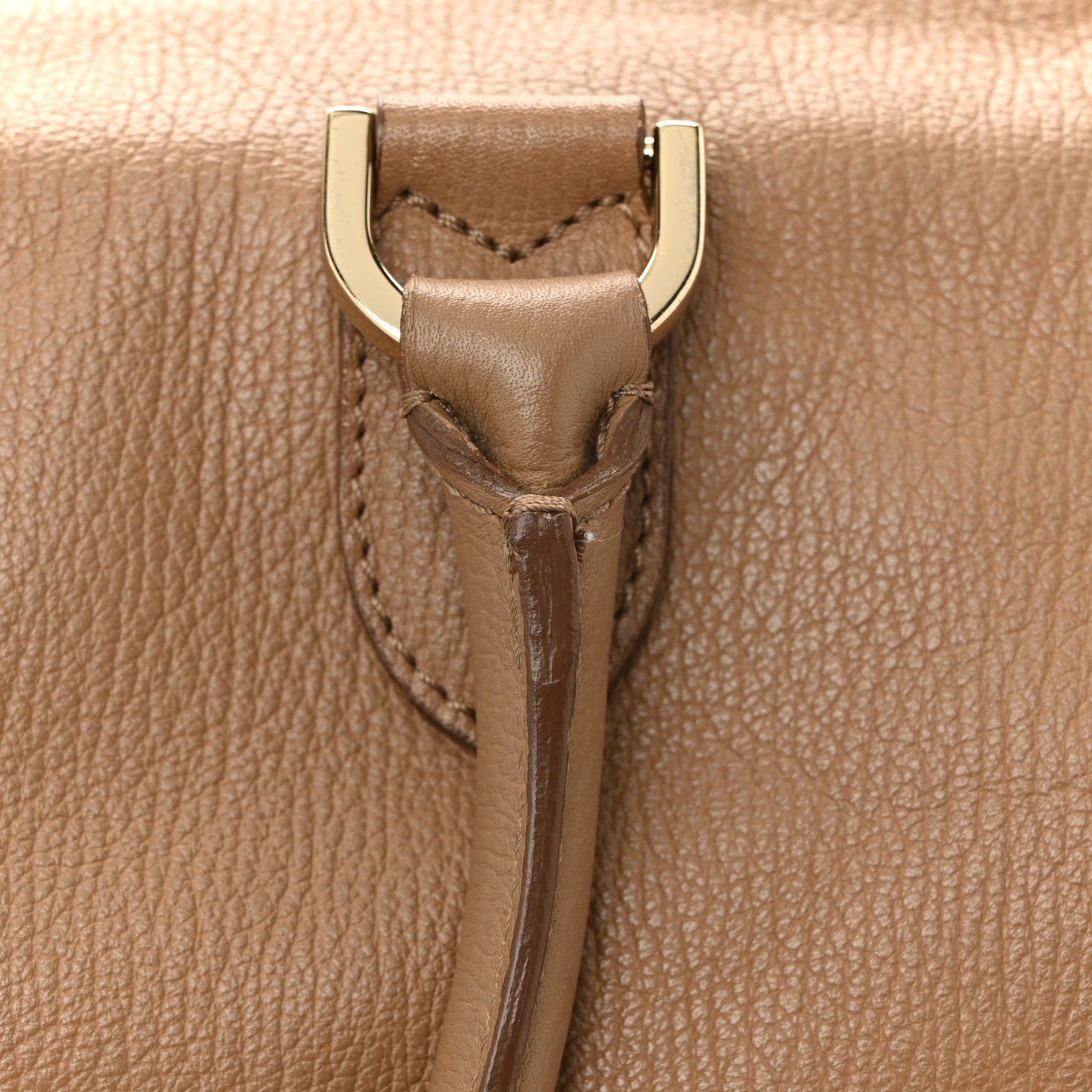 Glossy Goatskin Medium Del Rey Satchel Fudge