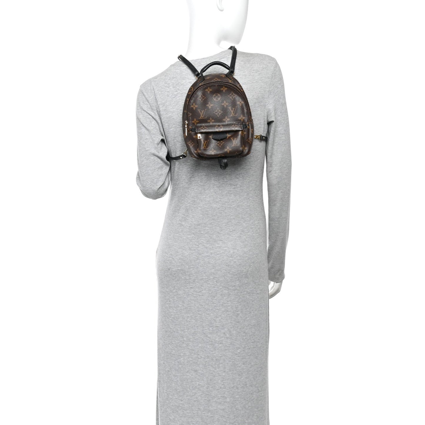 Monogram Palm Springs Backpack Mini