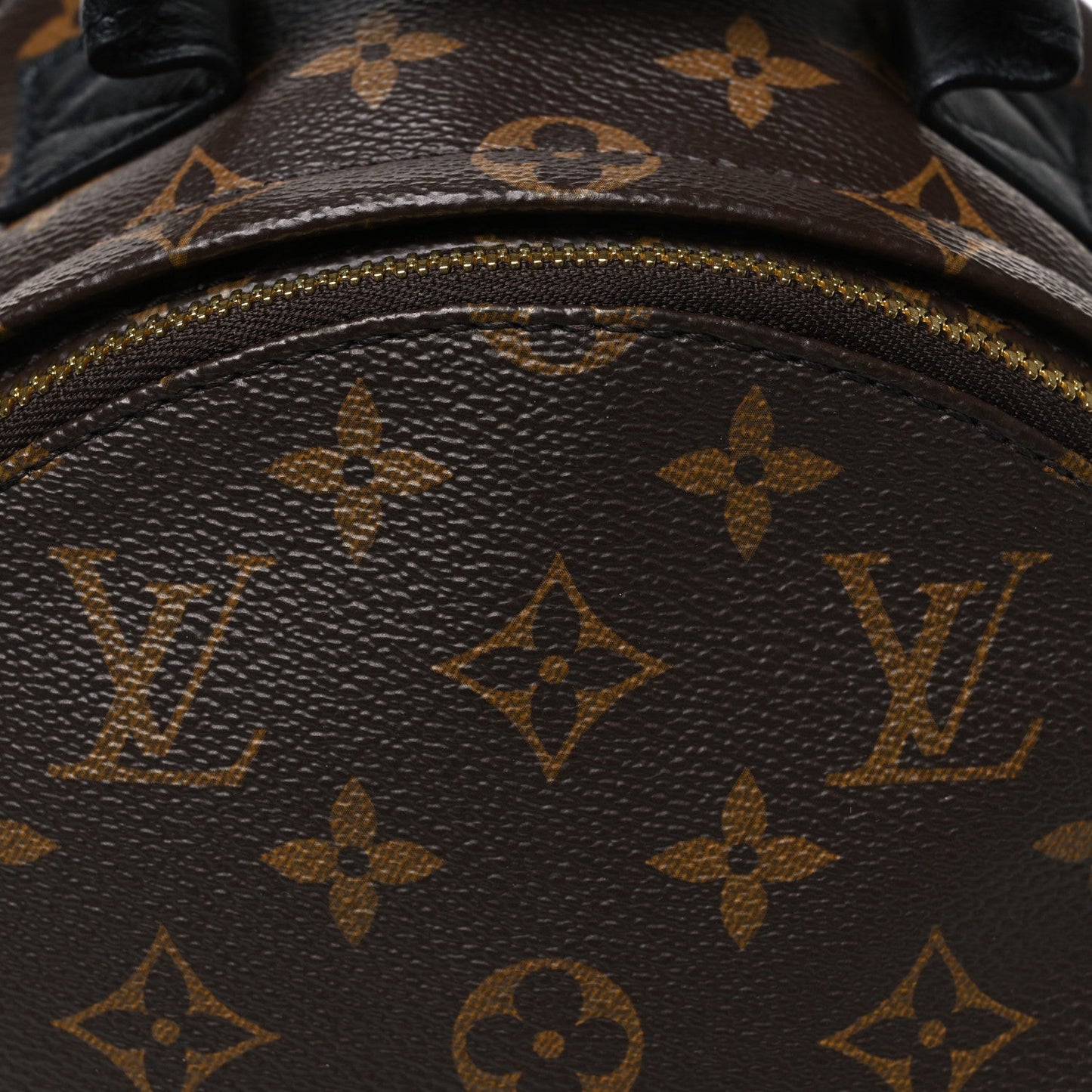 Monogram Palm Springs Backpack PM