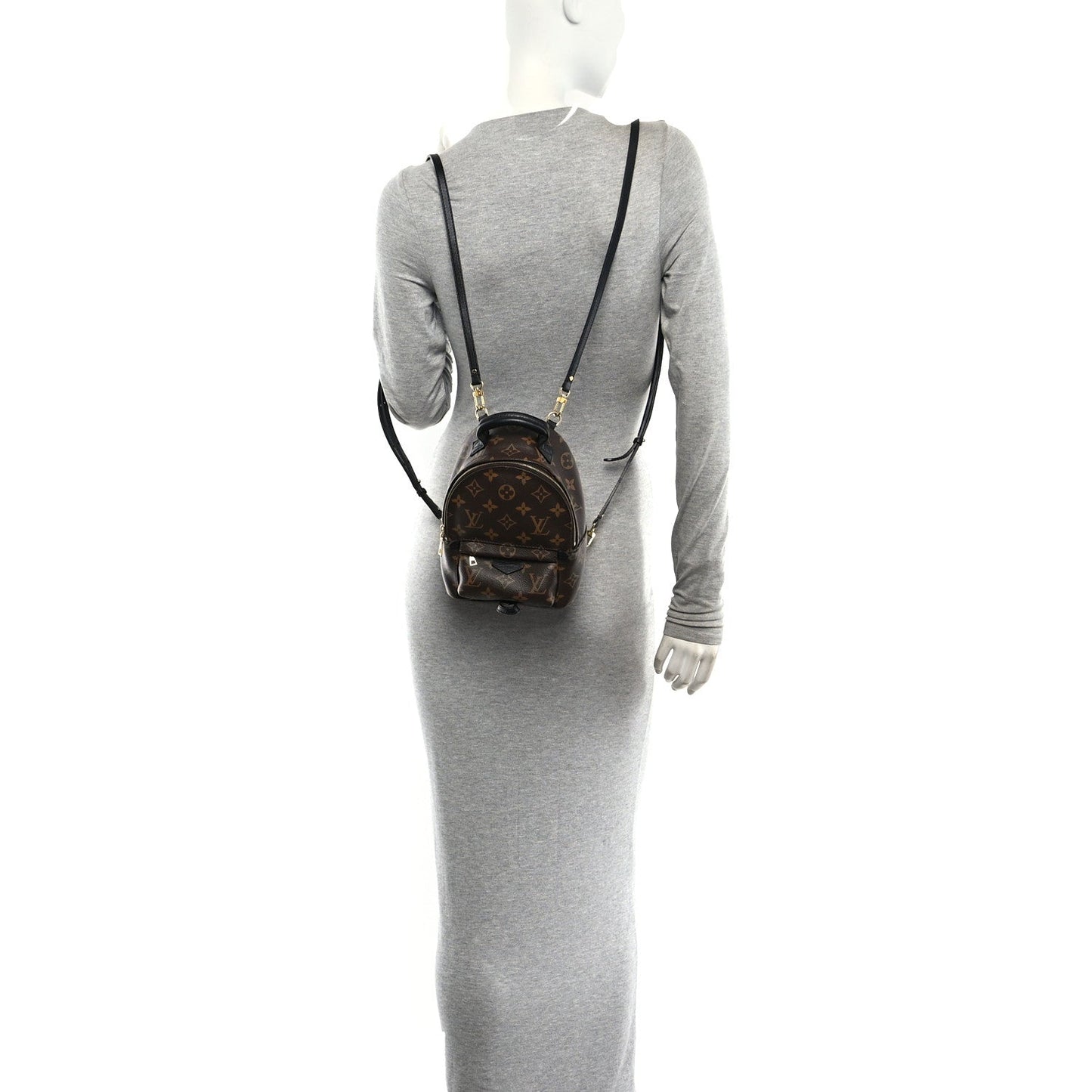 Monogram Palm Springs Backpack Mini