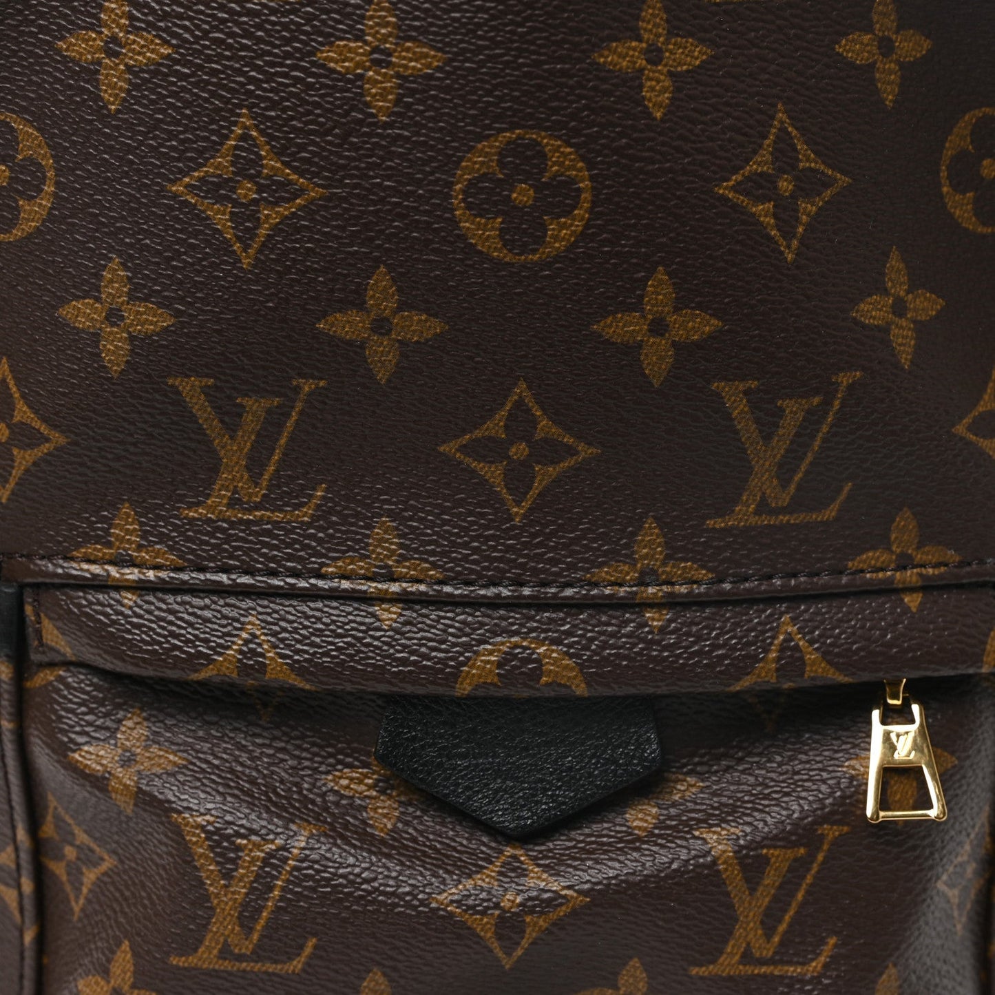 Monogram Palm Springs Backpack PM