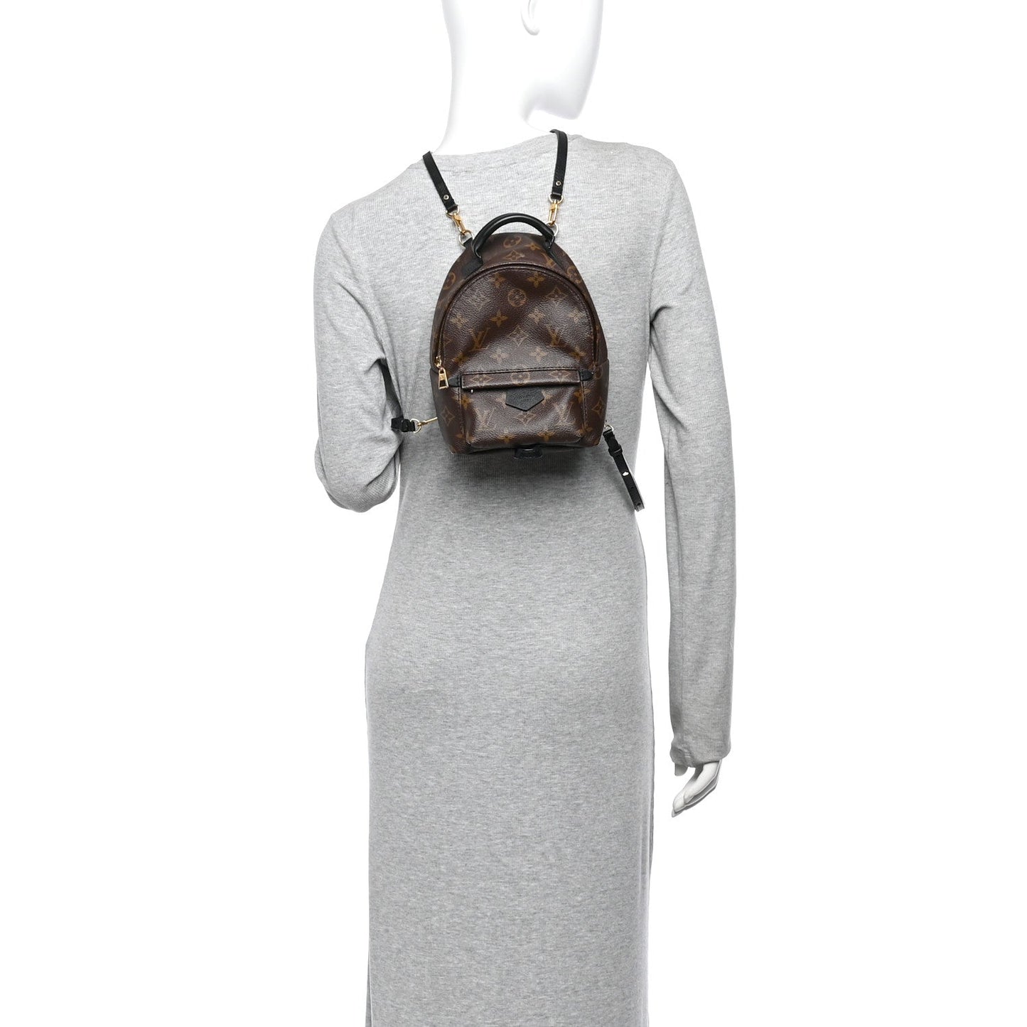Monogram Palm Springs Backpack Mini
