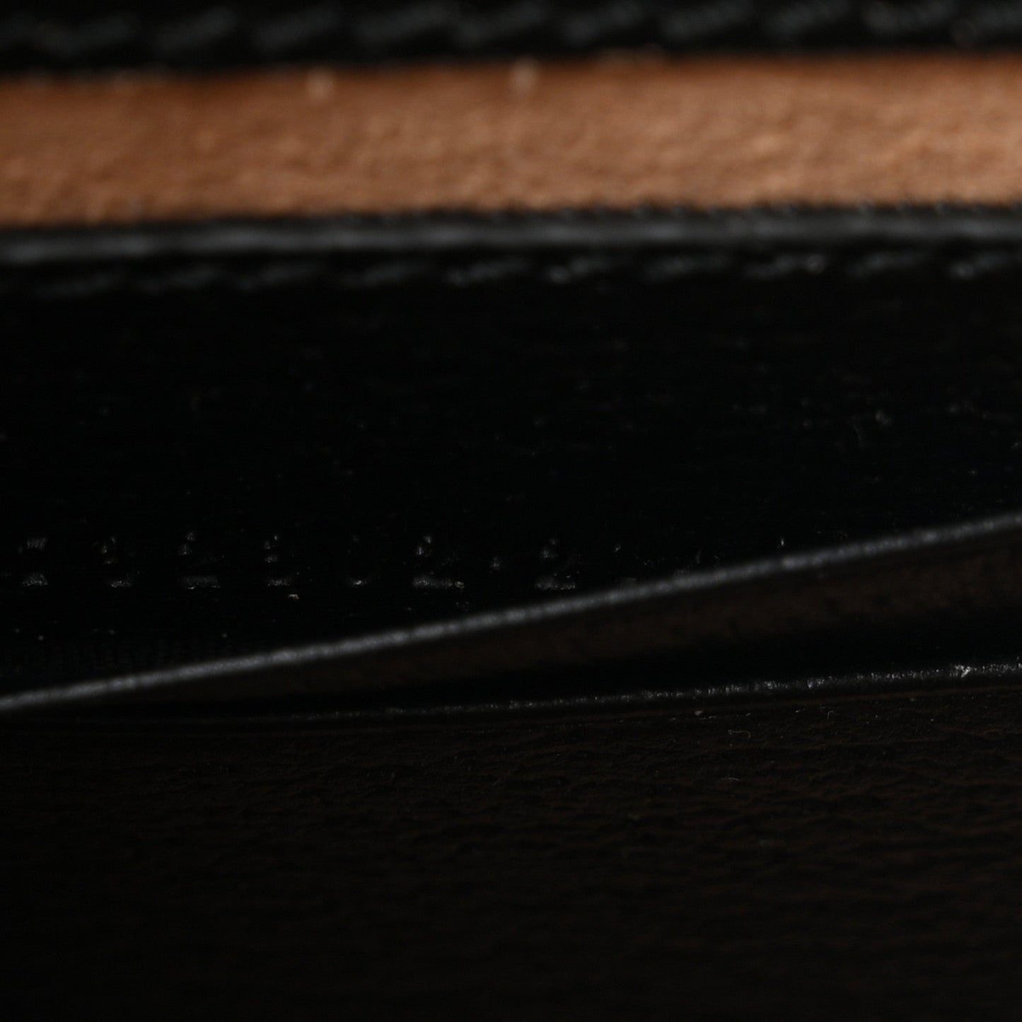 Dollar Calfskin Vertical Horsebit 1955 Crossbody Bag Black