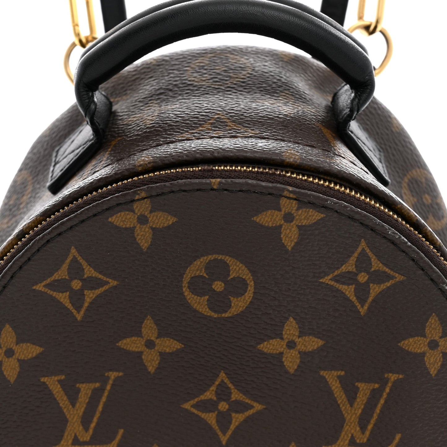 Monogram Palm Springs Backpack Mini