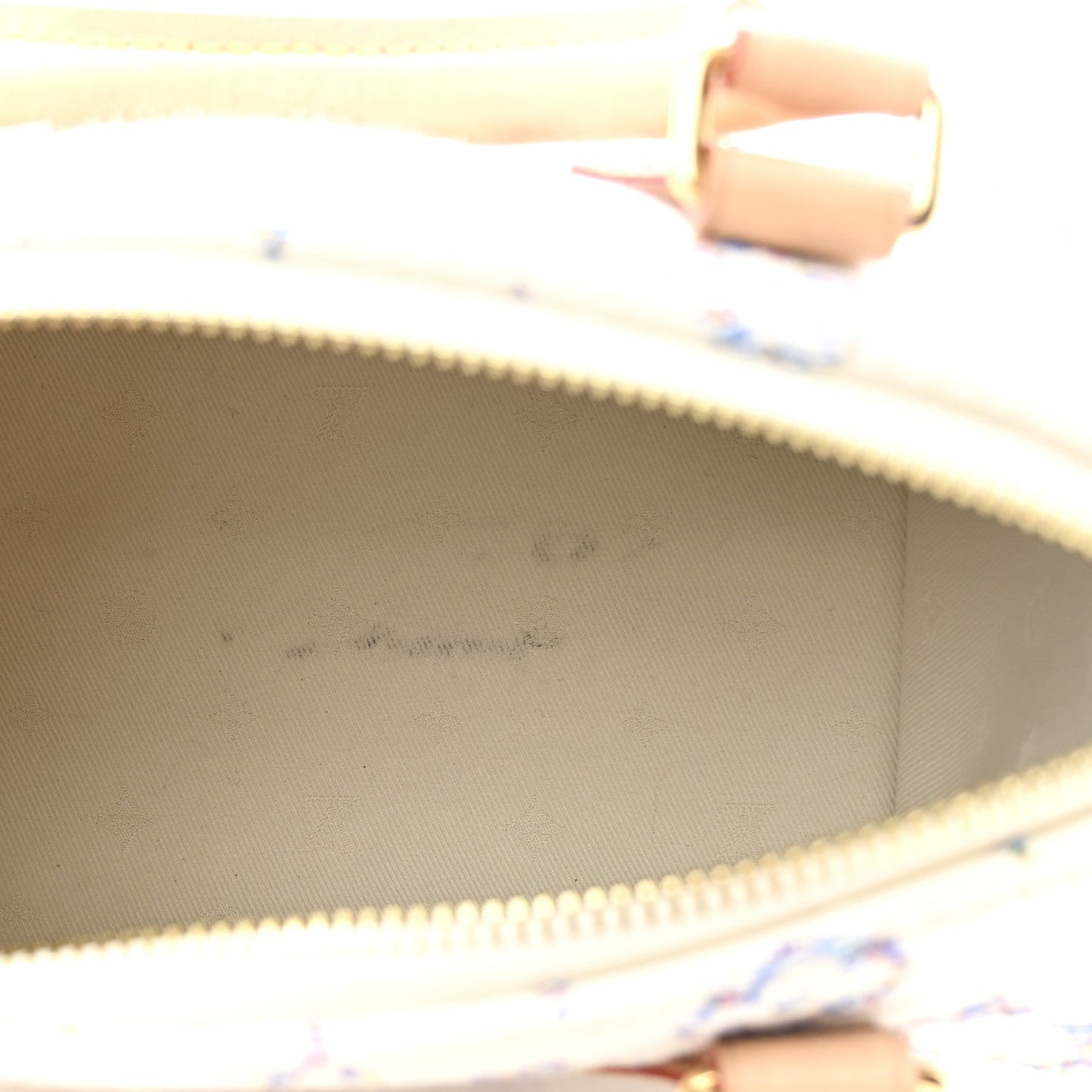Monogram Jacquard Fabric Speedy Bandouliere 20 Multicolor Beige
