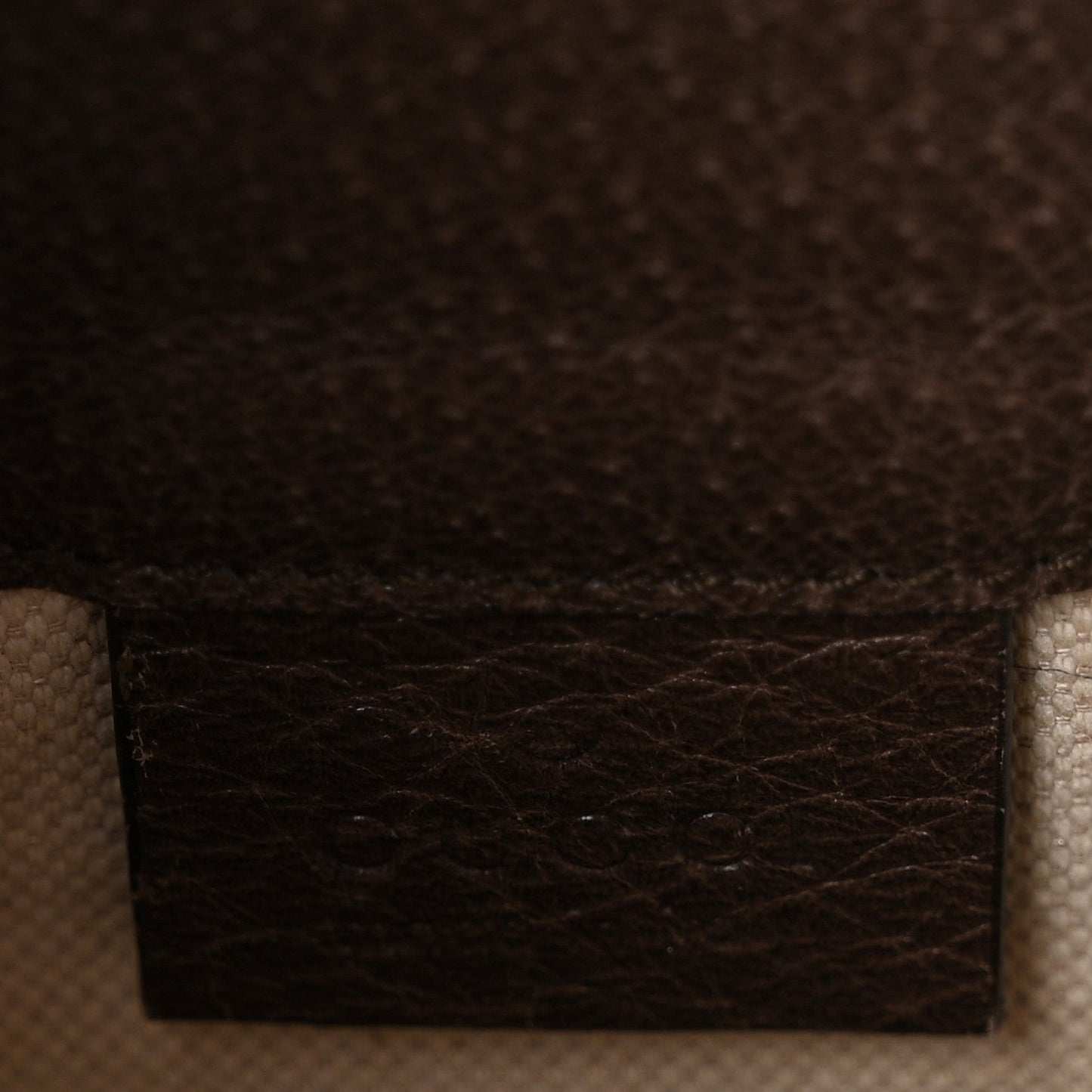 GG Supreme Monogram Web Ophidia Bucket Bag Brown