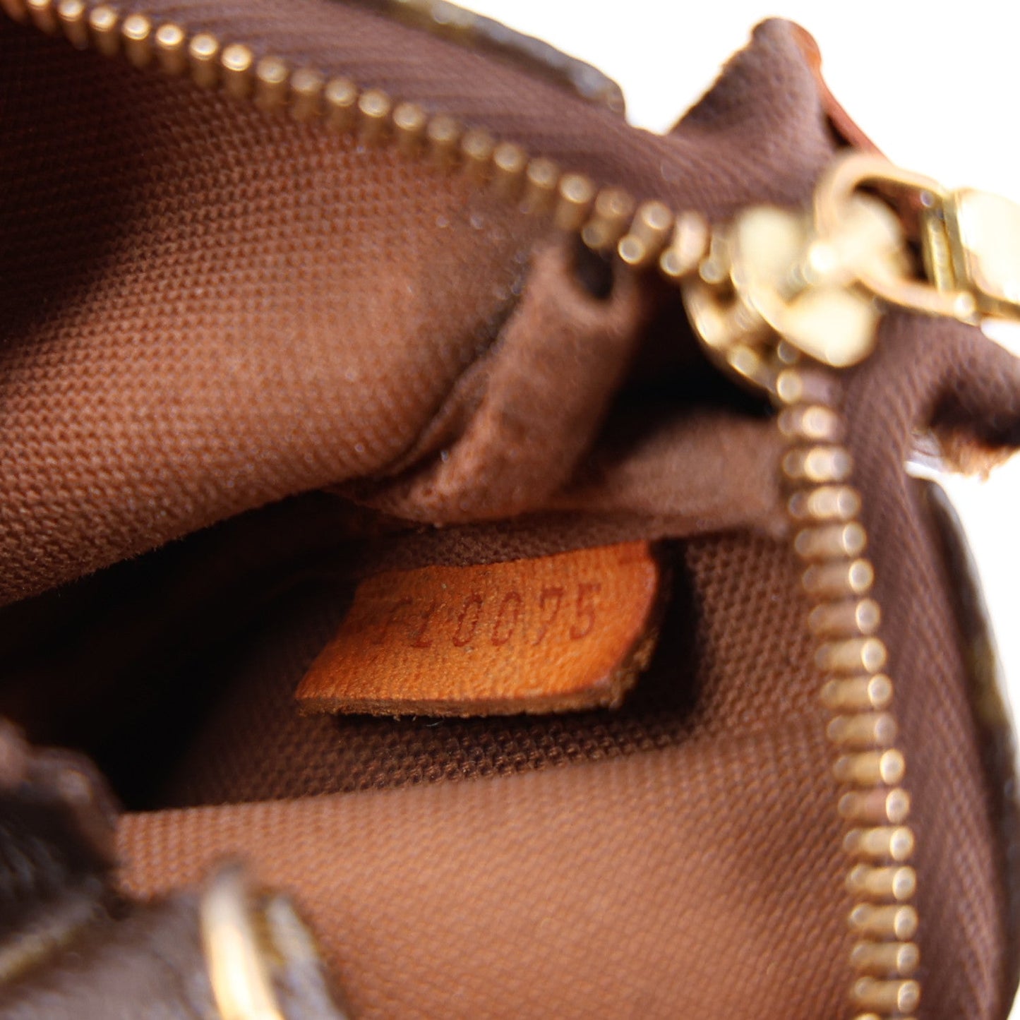 Monogram Mini Pochette Accessories