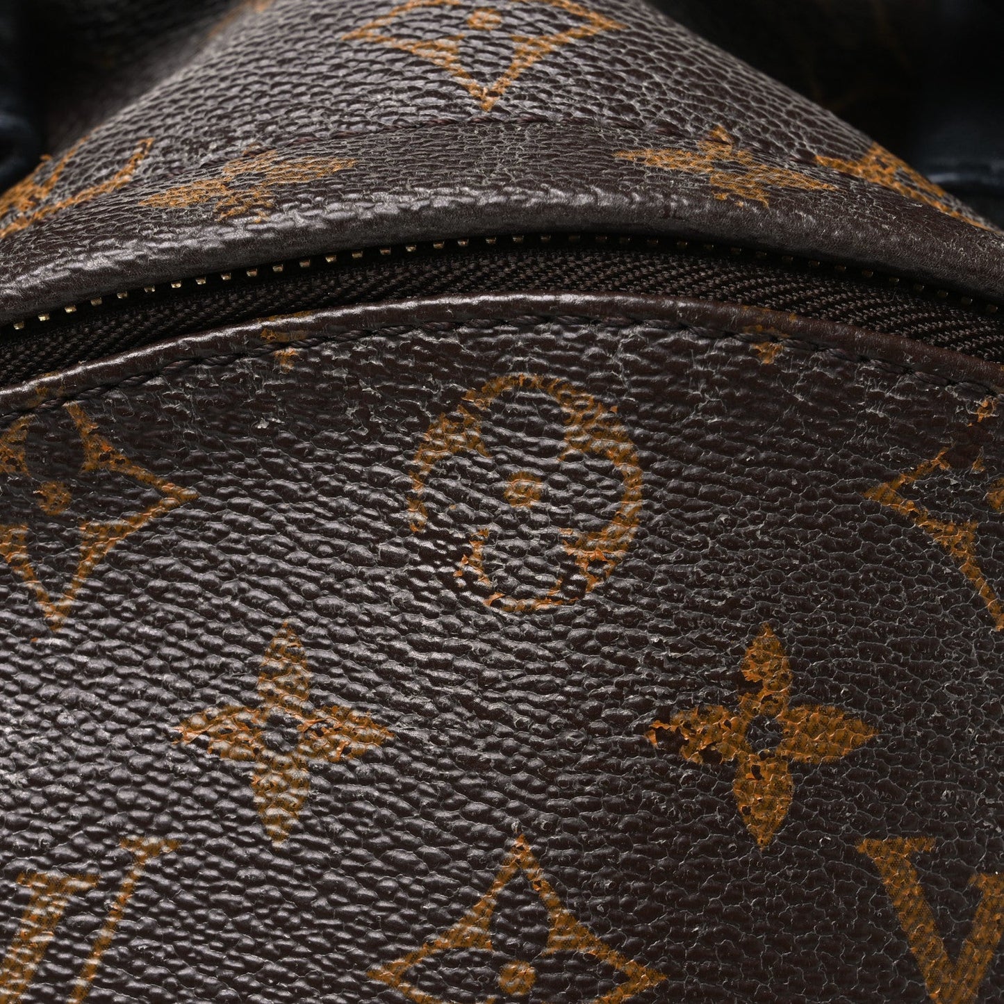 Monogram Palm Springs Backpack MM