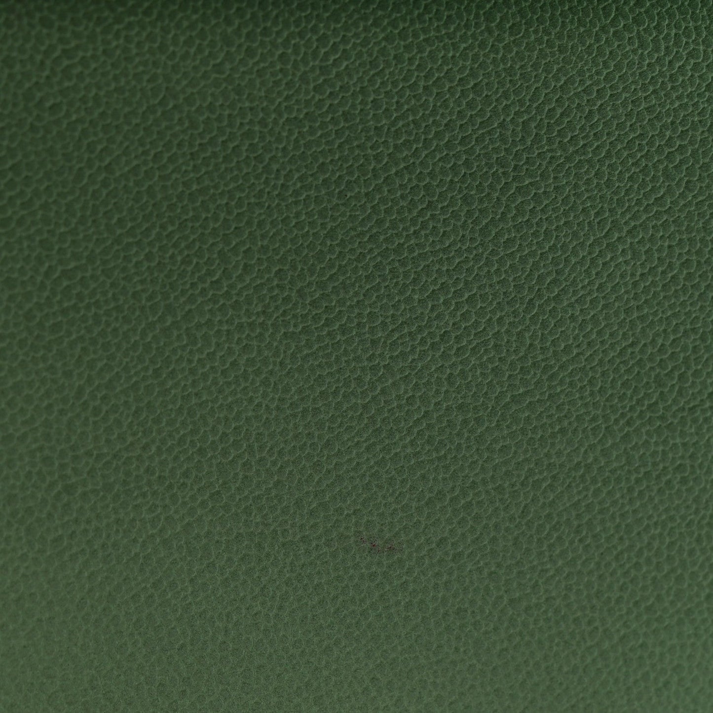 Caviar Quilted Small Boy Flap Green