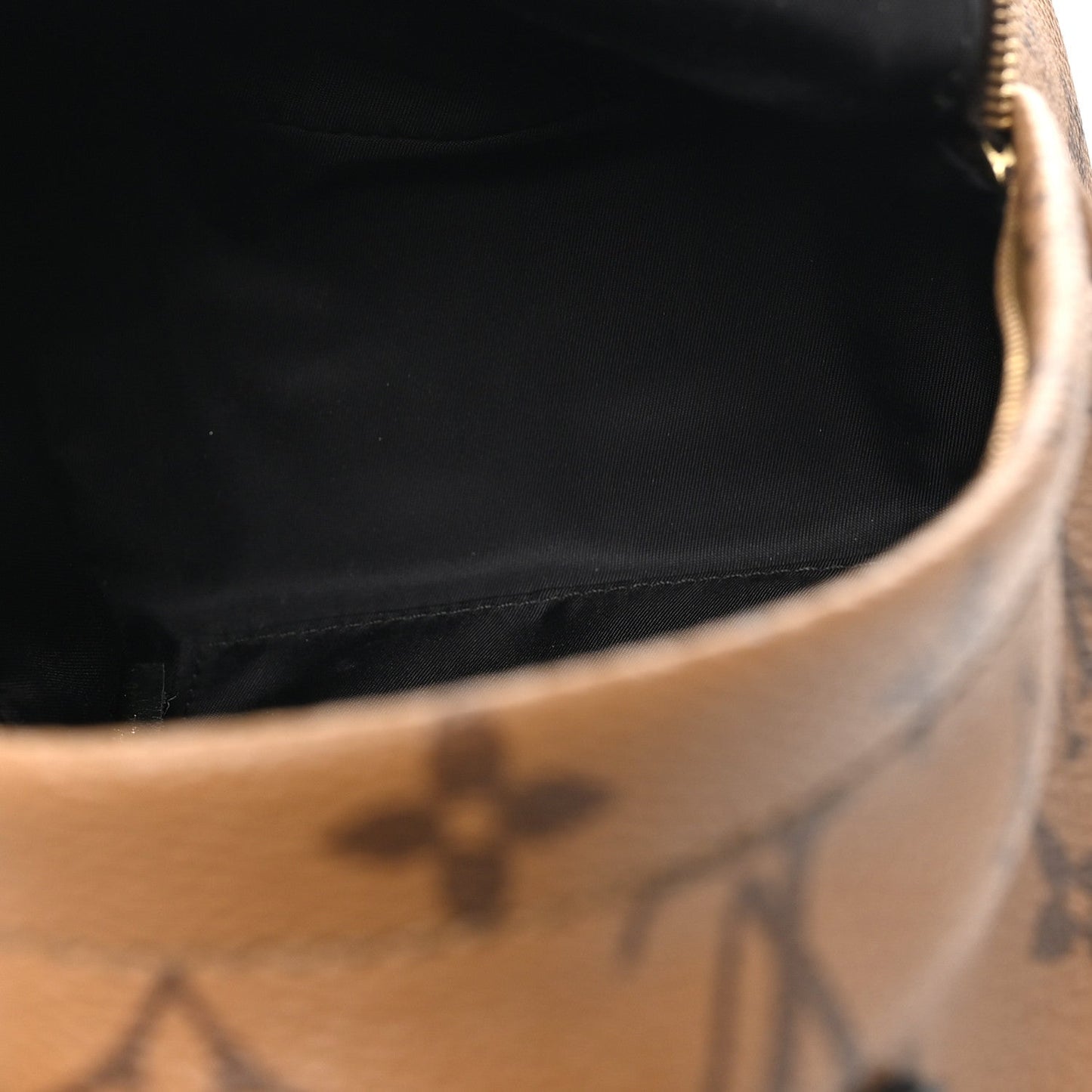 Reverse Monogram Palm Springs Backpack Mini