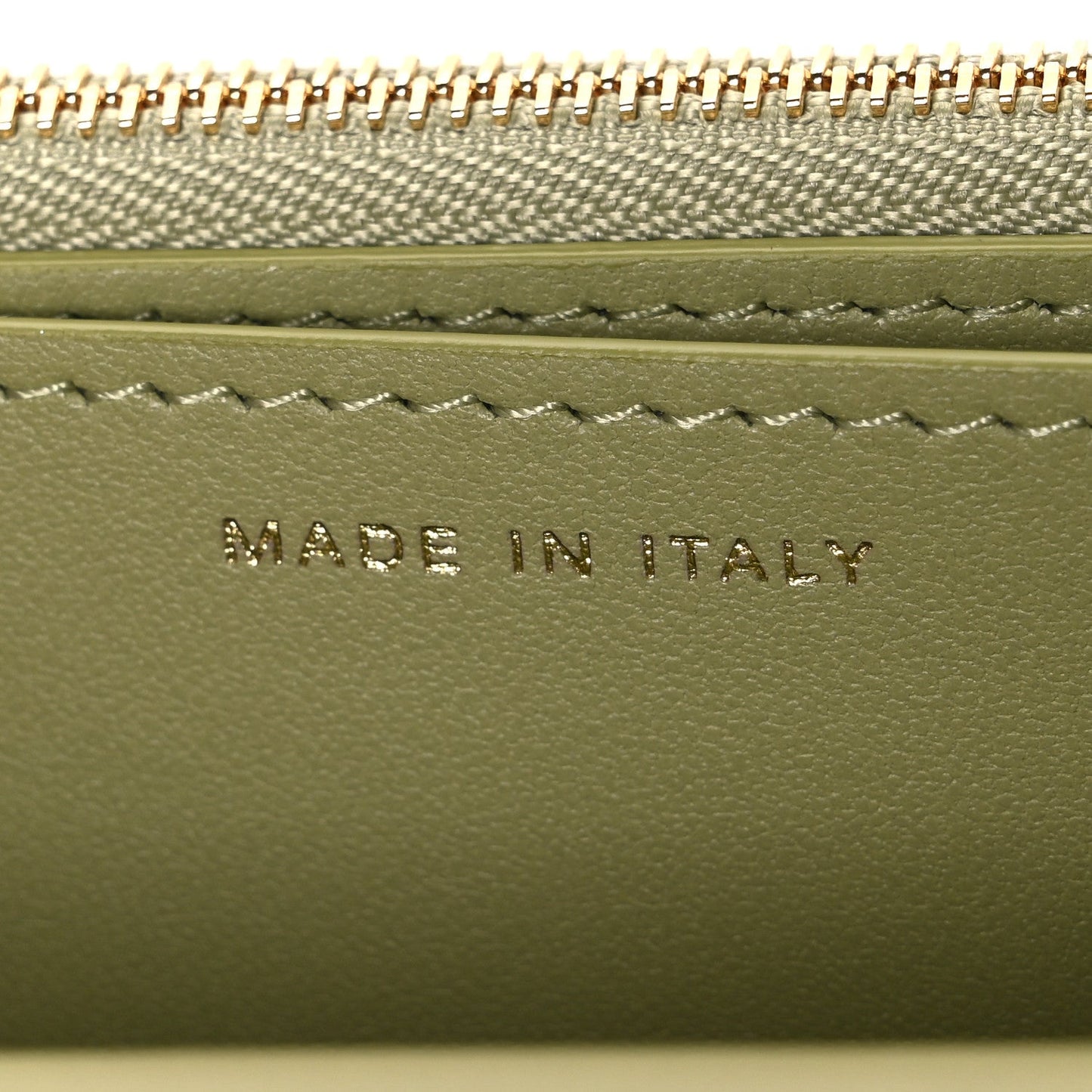 Shiny Lizard Wallet on Chain WOC Green