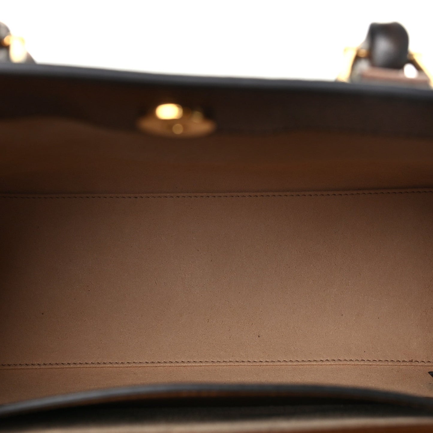 Textured Dollar Calfskin Web Small Diana Tote Bag Cuir Black
