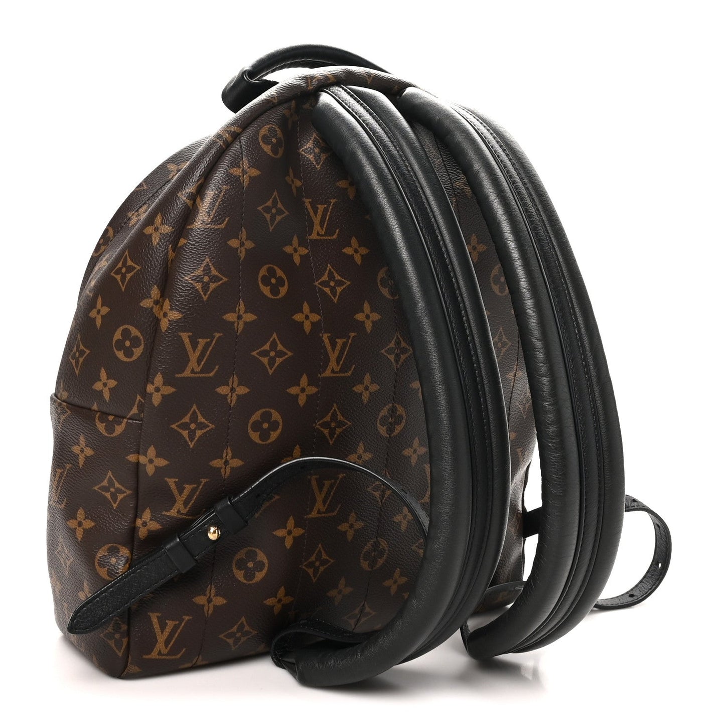 Monogram Palm Springs Backpack MM