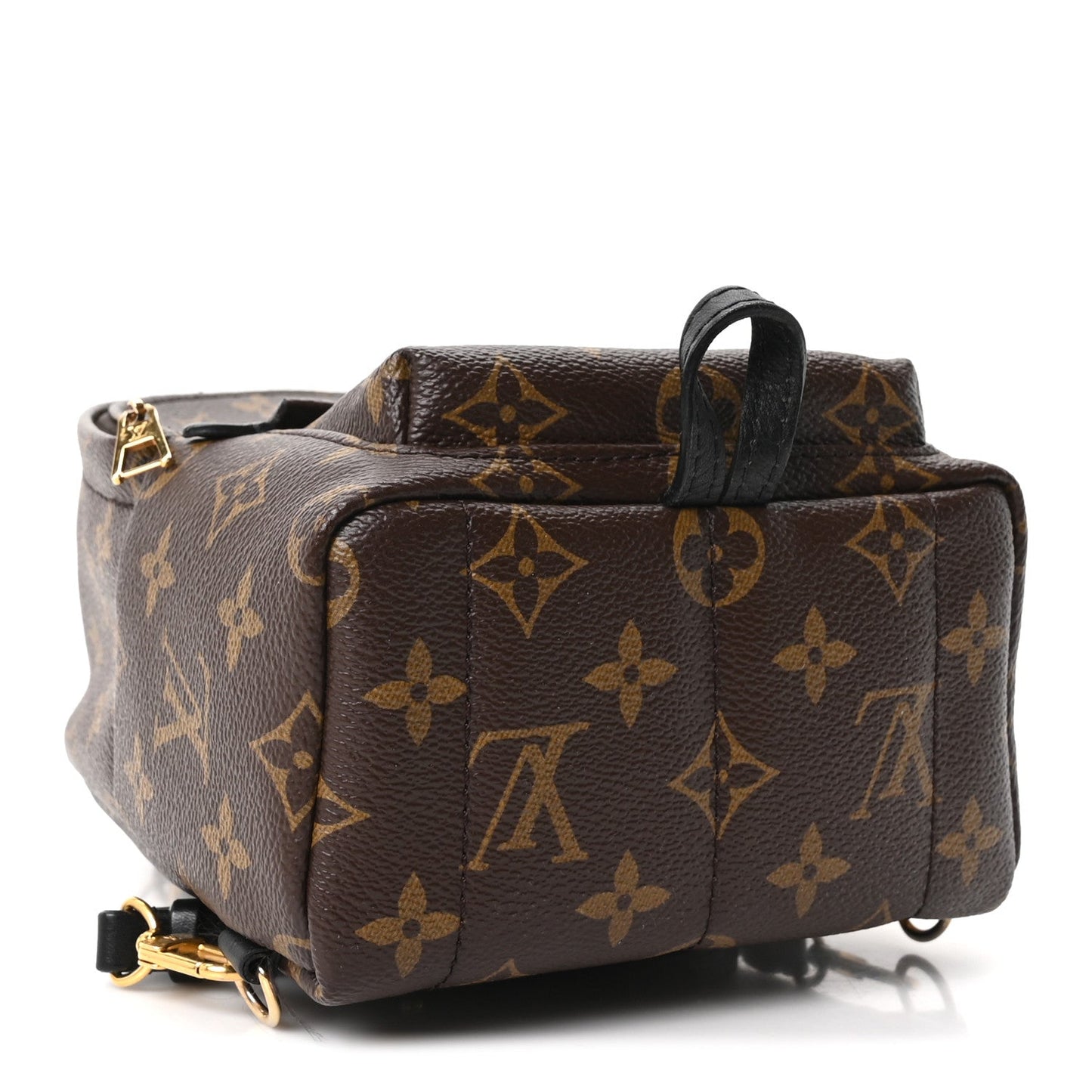 Monogram Palm Springs Backpack Mini