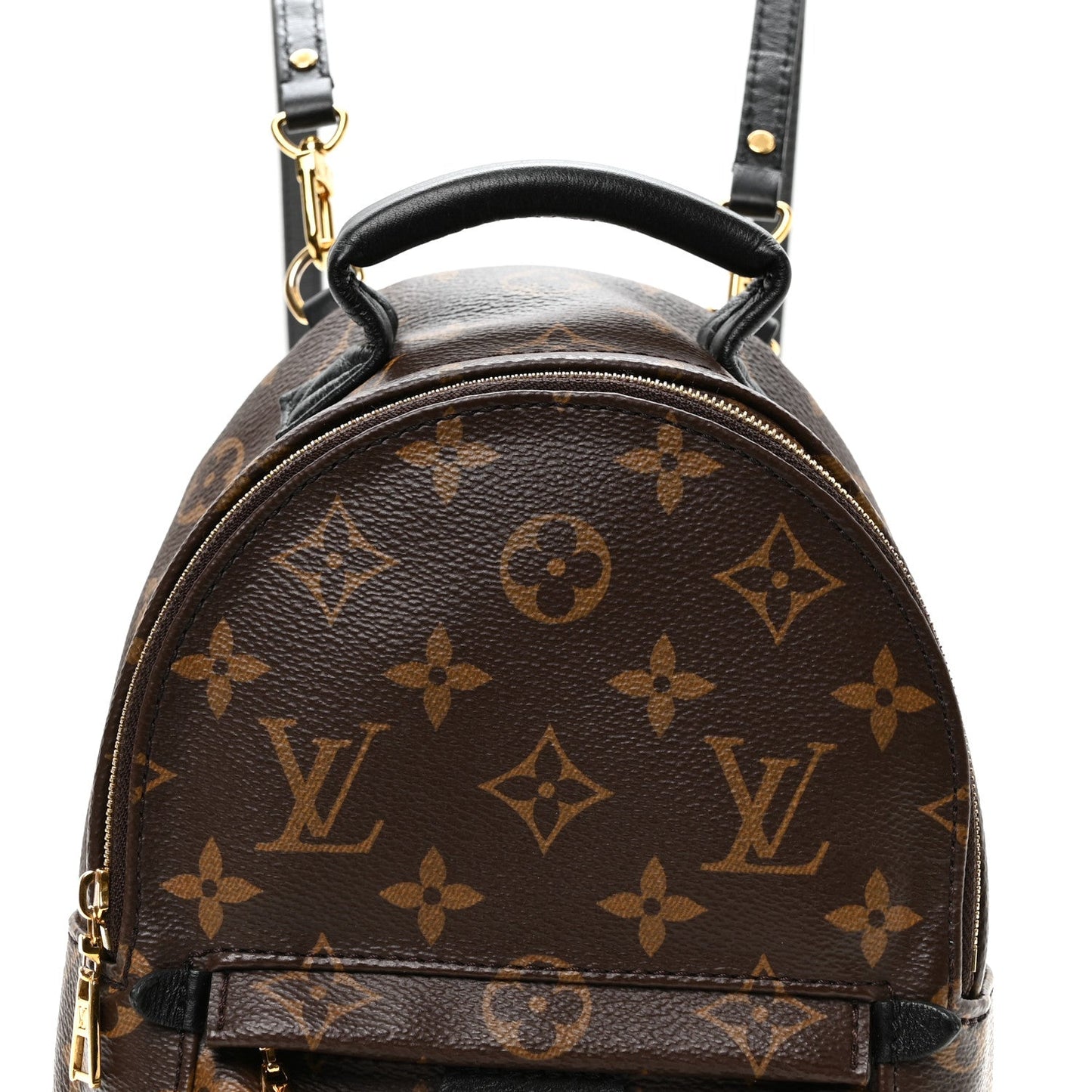 Monogram Palm Springs Backpack Mini