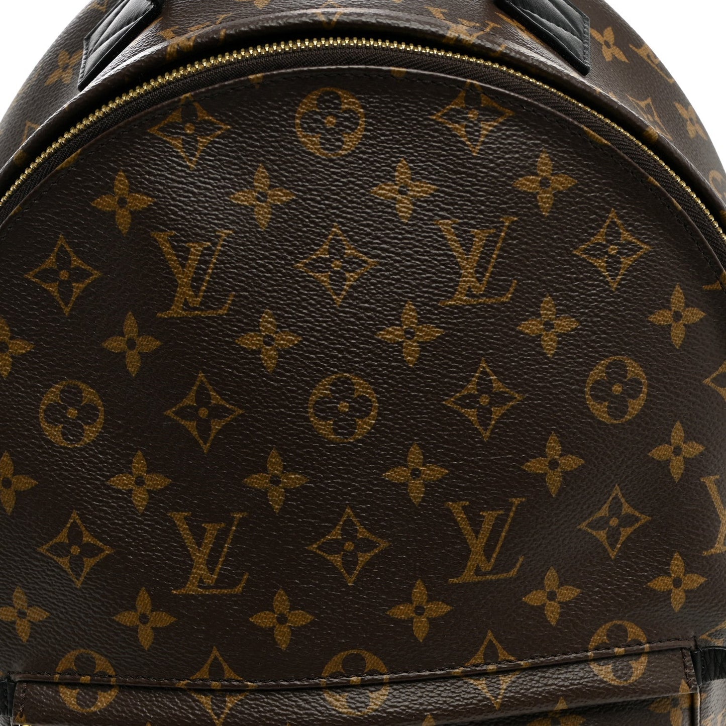 Monogram Palm Springs Backpack MM