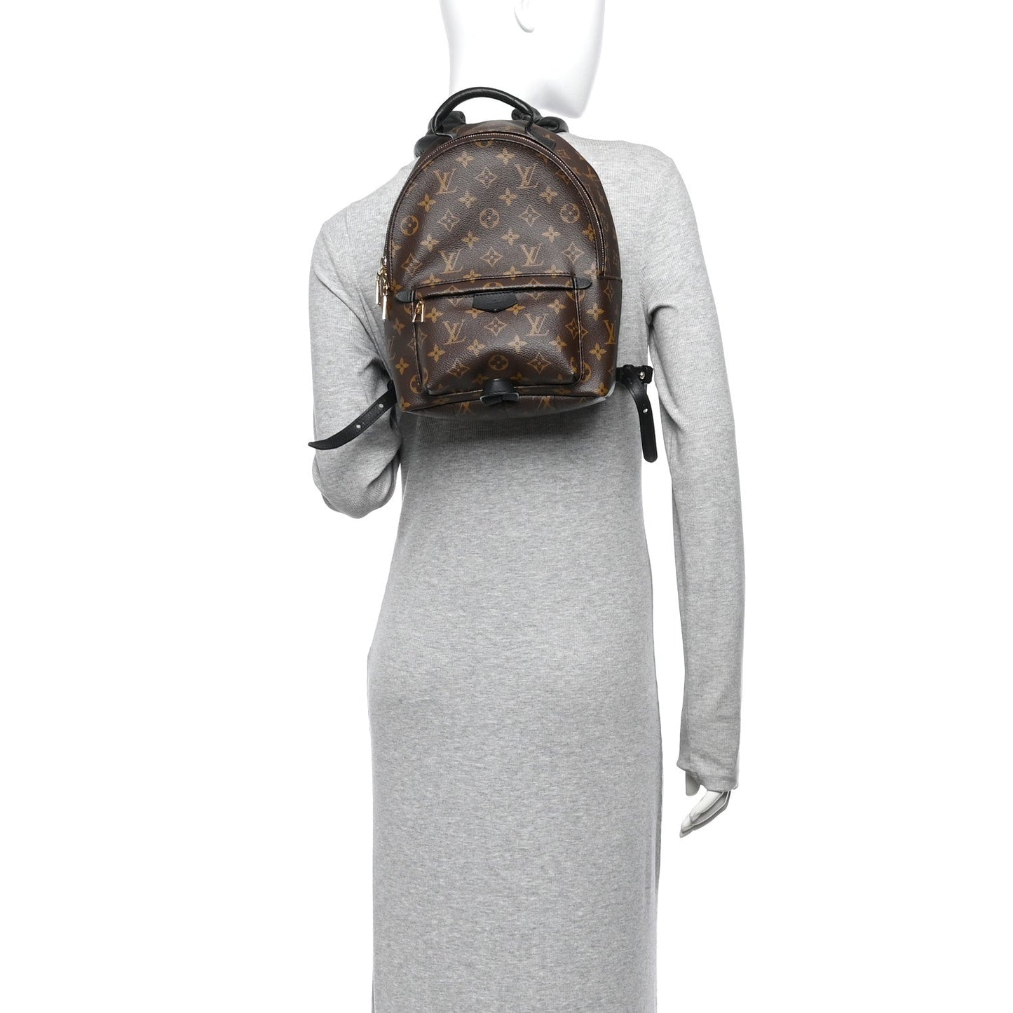 Monogram Palm Springs Backpack PM