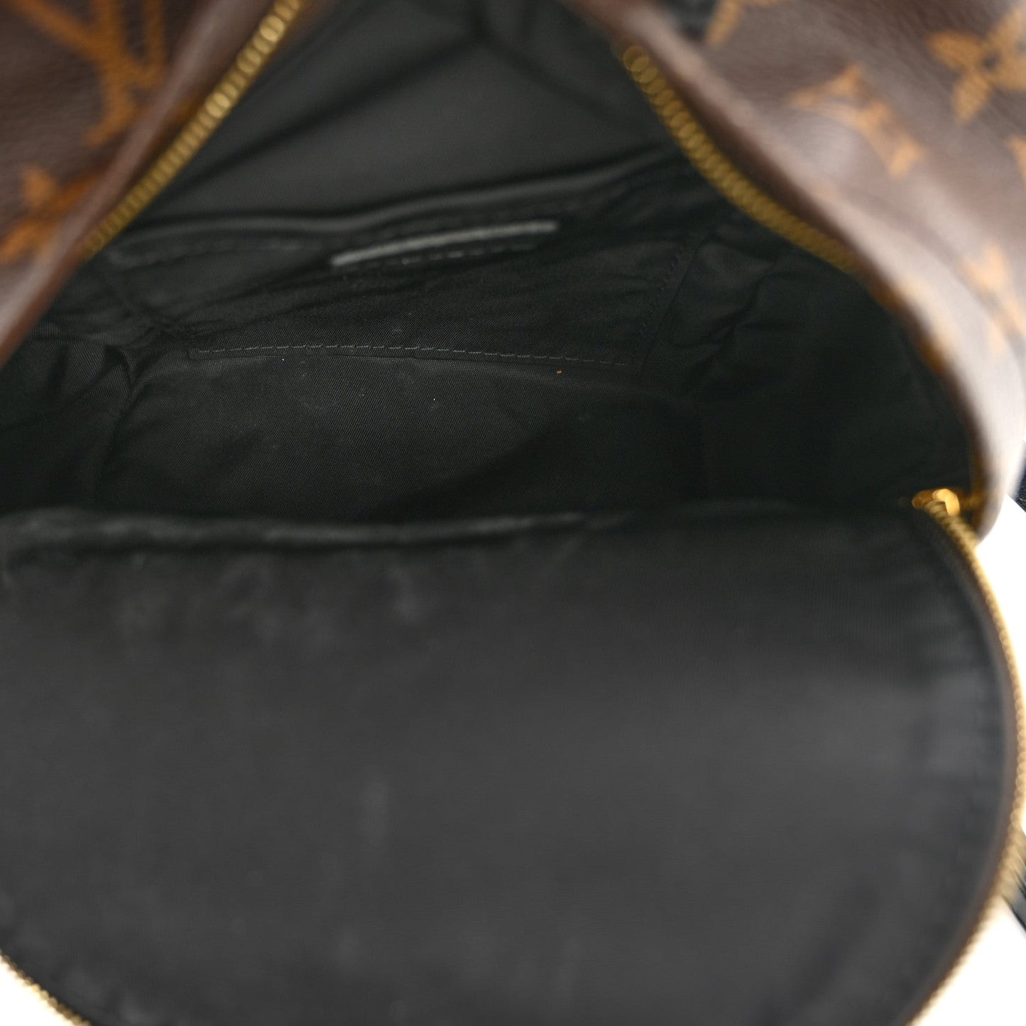 Monogram Palm Springs Backpack Mini