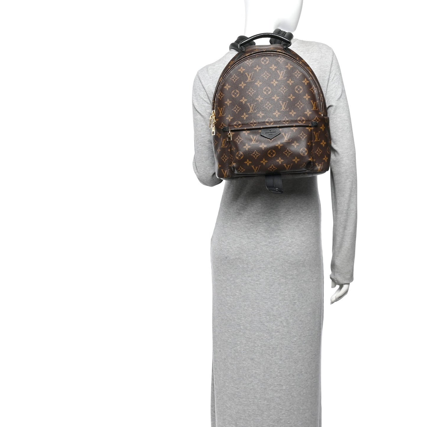 Monogram Palm Springs Backpack MM