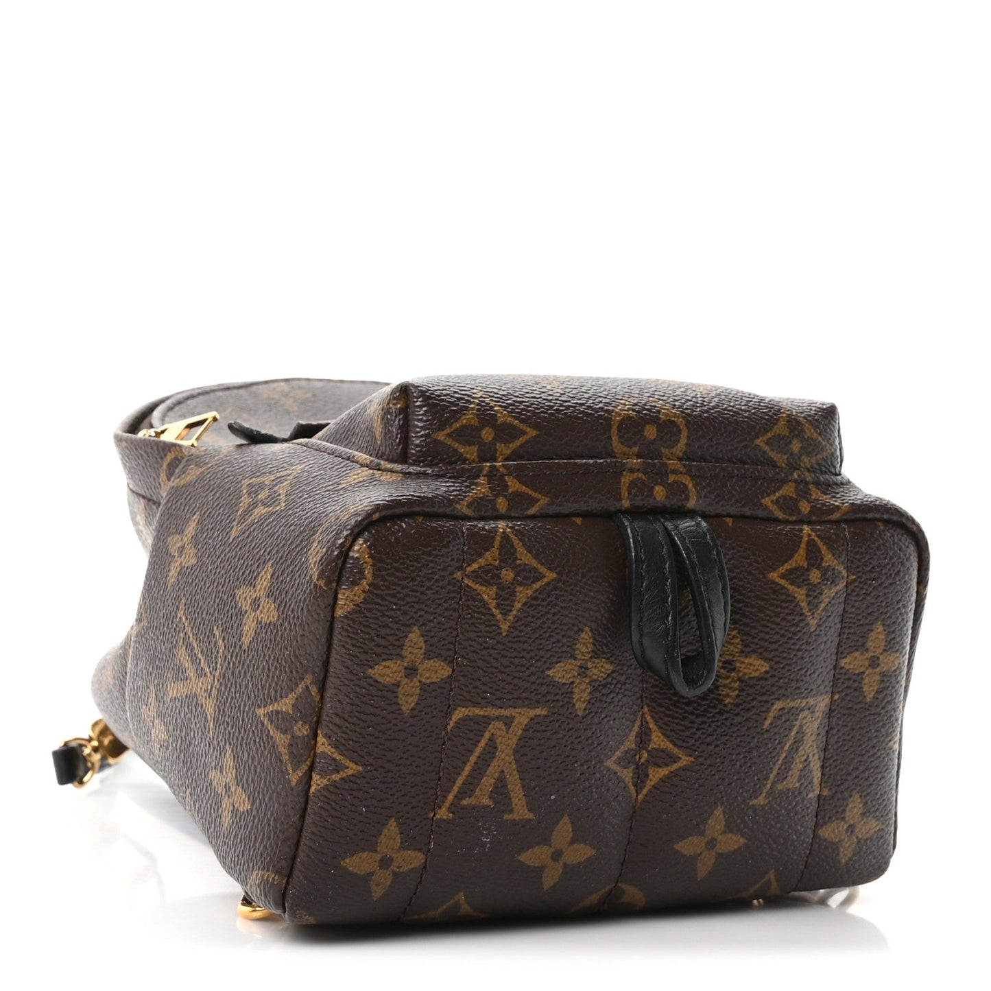 Monogram Palm Springs Backpack Mini