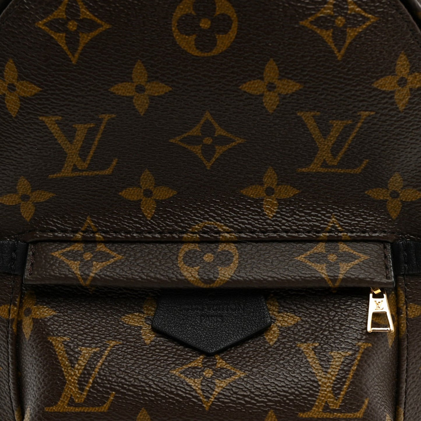 Monogram Palm Springs Backpack Mini