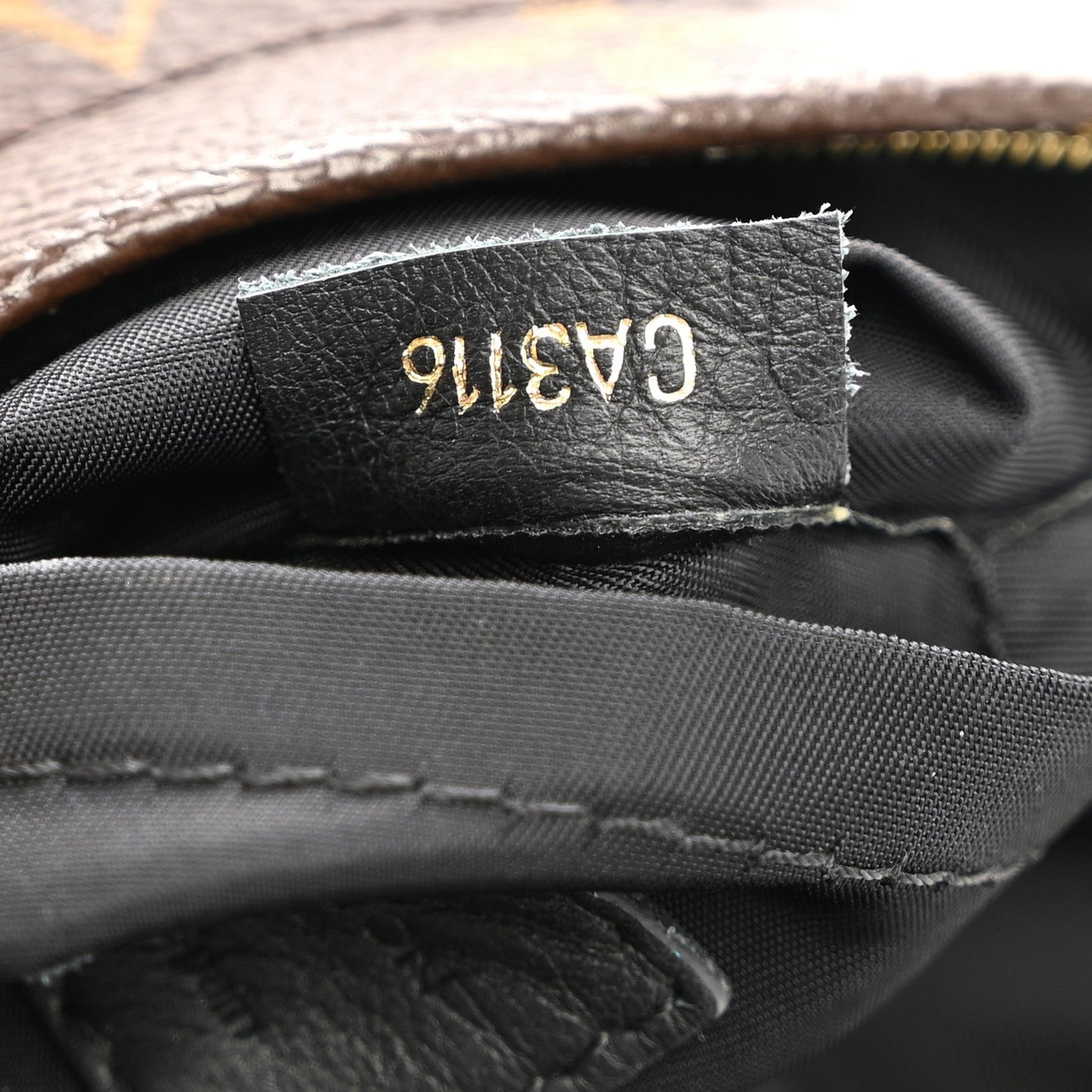 Monogram Palm Springs Backpack Mini