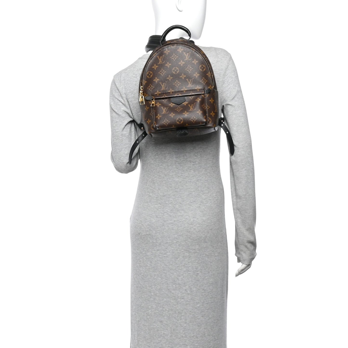 Monogram Palm Springs Backpack PM