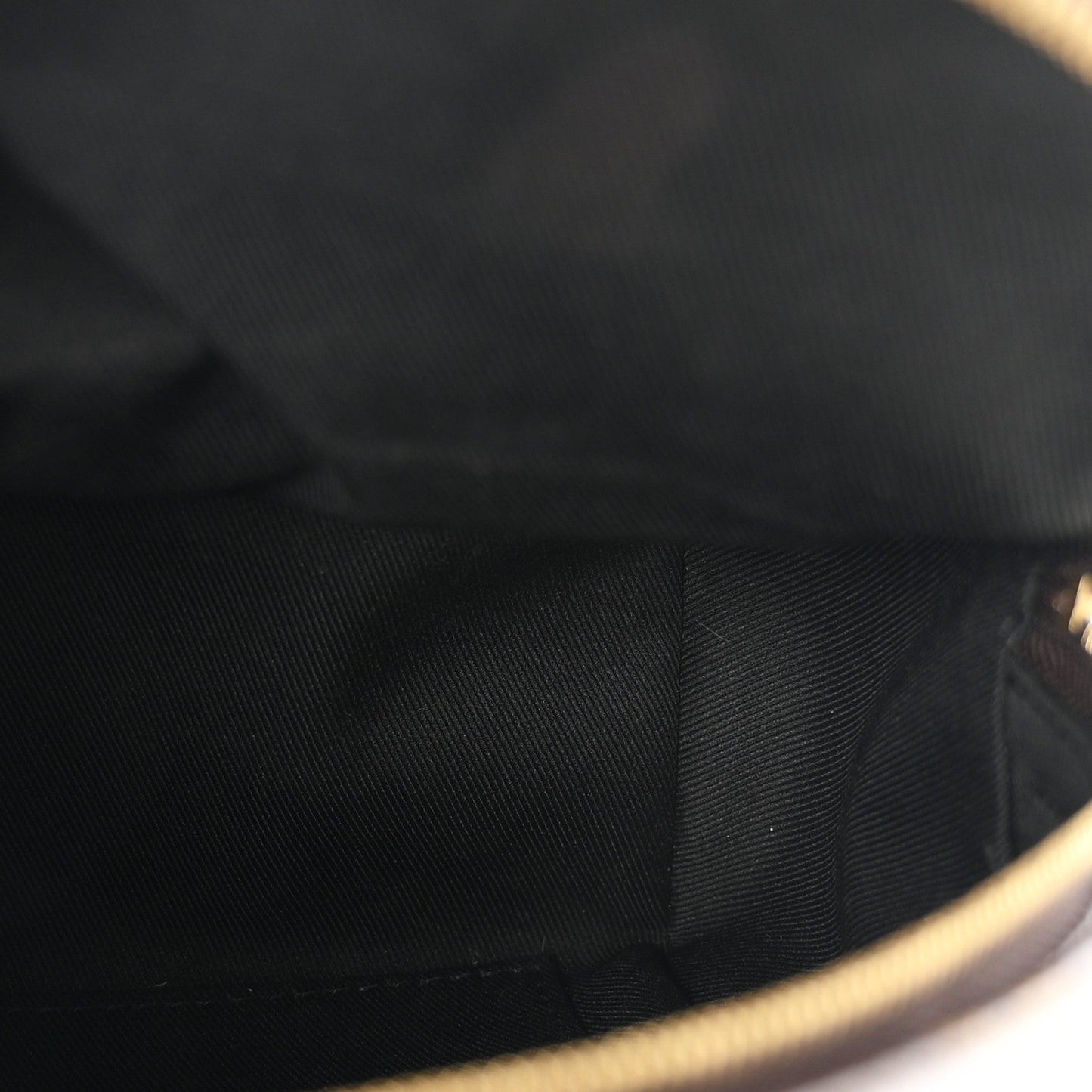 Monogram Palm Springs Backpack Mini